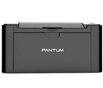 Замена прокладки на принтере Pantum P2500NW в Воронеже